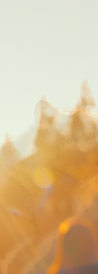 법무법인 서앤율 회생파산상담센터